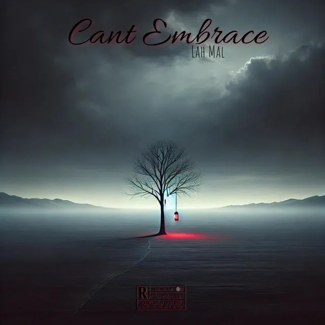 Cant Embrace