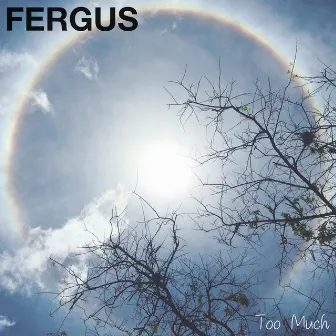 Too Much by Fergus