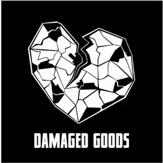 Damaged Goods by Ran Ziv