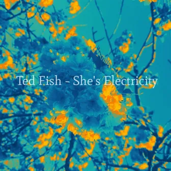 She's Electricity by Ted Fish