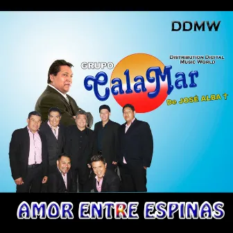 Amor Entre Espinas by Grupo Calamar De Jose Alba