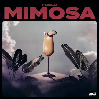 Mimosa by Fuelo