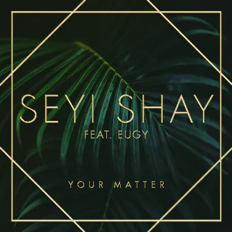 Your Matter by Seyi Shay