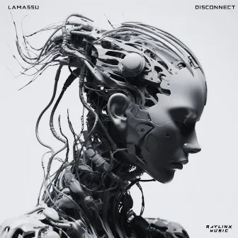 Disconnect by Lamassu