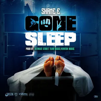 Gone Sleep by Shane E