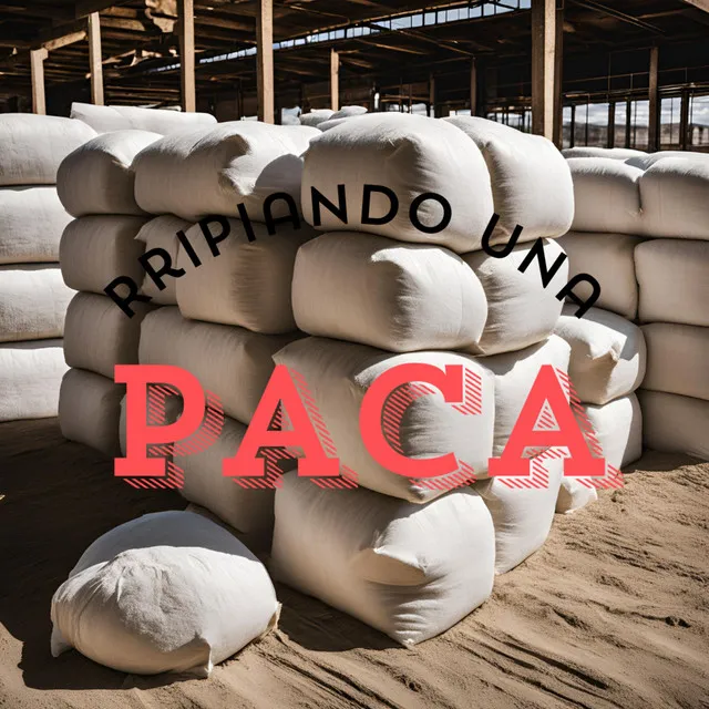 RRIPIANDO UNA PACA