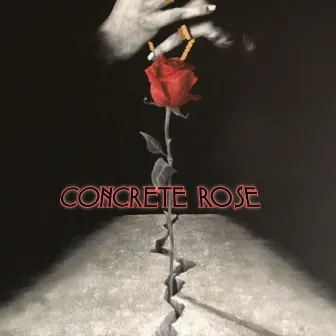 Concrete Rose by Taharqa