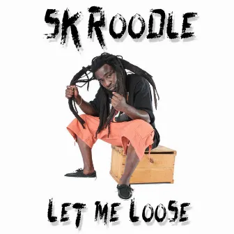 Let me Loose by Skroodle