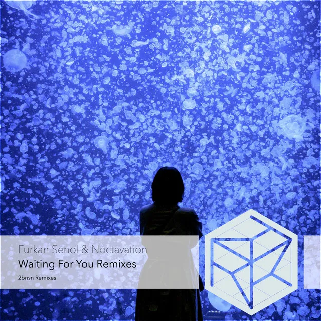 Waiting for You - 2bnsn Organic Reinterpretation