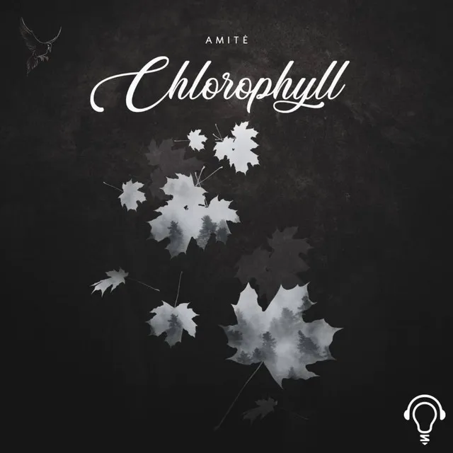 Chlorophyll