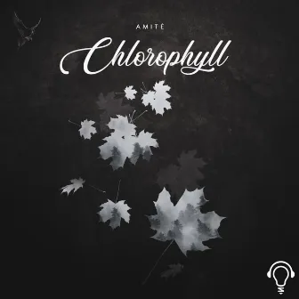 Chlorophyll by Amitė