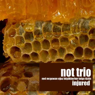 Injured by NOT TRIO