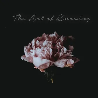 The Art of Knowing by Scribe Music