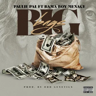 Big Bags by Paulie Pal