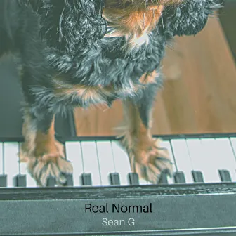 Real Normal by Sean G