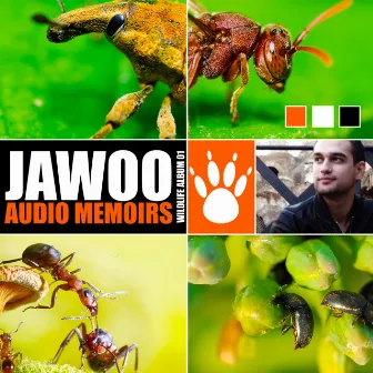 Audio Memoirs by Jawoo