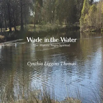 Wade in the Water by Cynthia Liggins Thomas