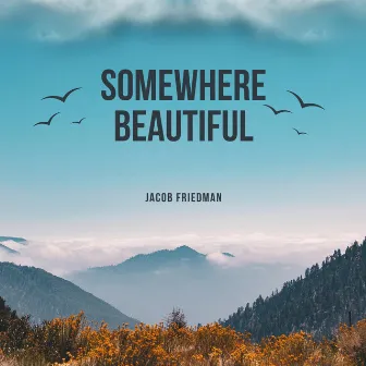 Somewhere Beautiful by Jacob Friedman