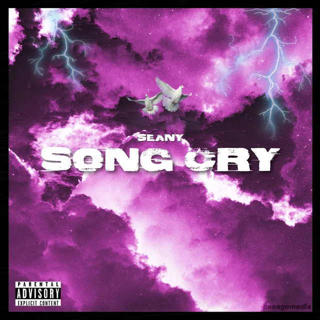 Song Cry