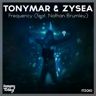 Frequency (feat. Nathan Brumley) by Tonymar