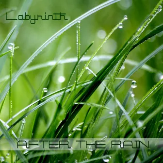 After the Rain by Labyrinth