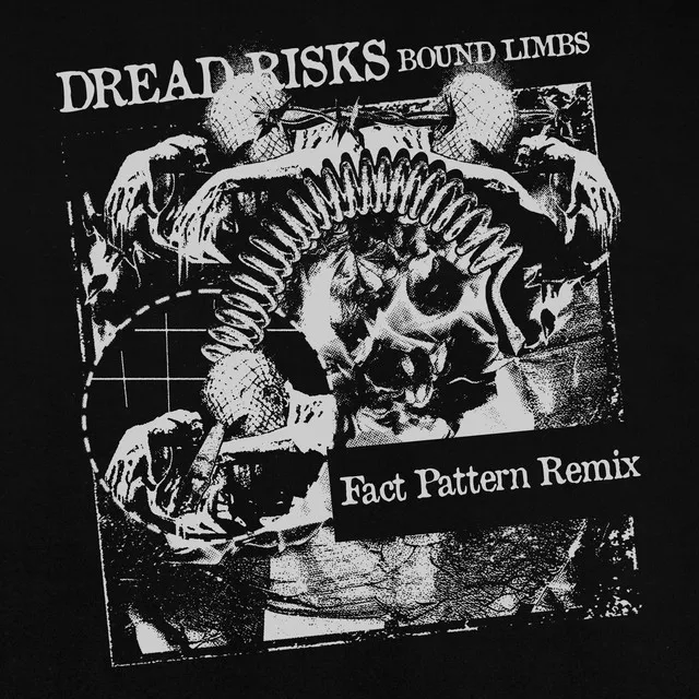 Bound Limbs - Fact Pattern Remix