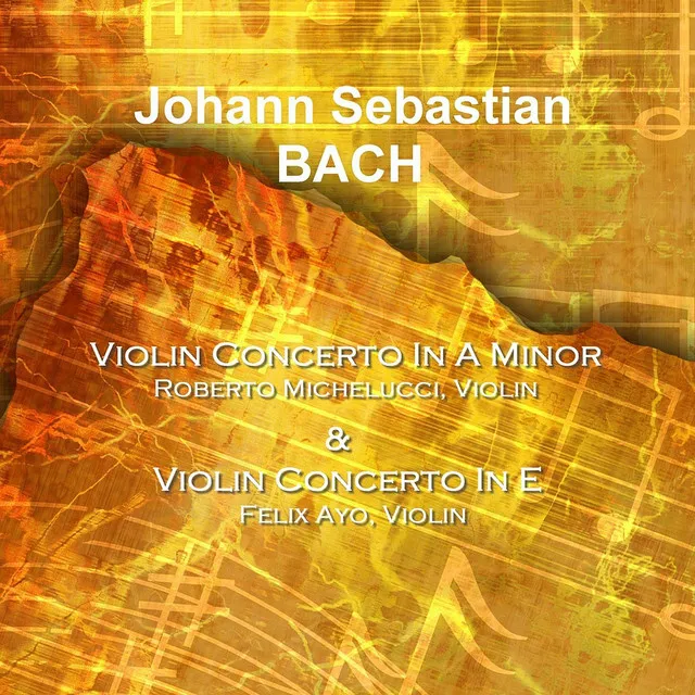 Violin Concerto No. 2 in E, BWV 1042: 1. Allegro