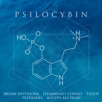 Psilocybin by Bryan Divisions