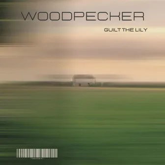 woodpecker by guilt the lily