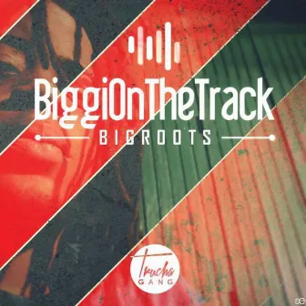 Biggionthetrack by Bigroots