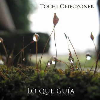 Lo Que Guia by Tochi Opieczonek