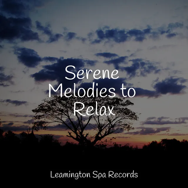 Serene Sounds