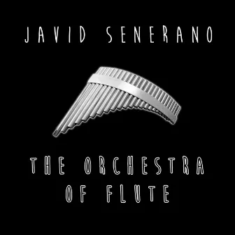 The Orchestra of Flute by Javid Senerano