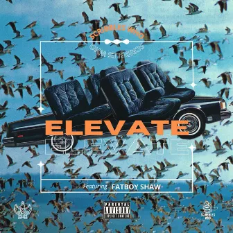 Elevate by Scribbles Who