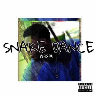 Snake Dance by WaspyMusic