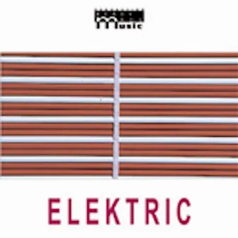 Elektric by Frederic Milgram