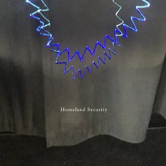 Homeland Security by Goss