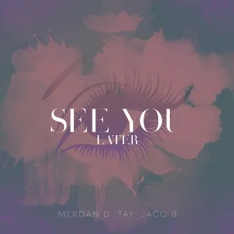 See You Later by Tay