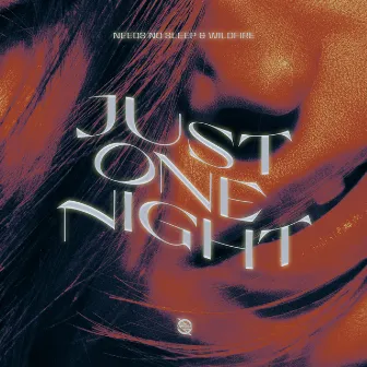 Just One Night by Needs No Sleep