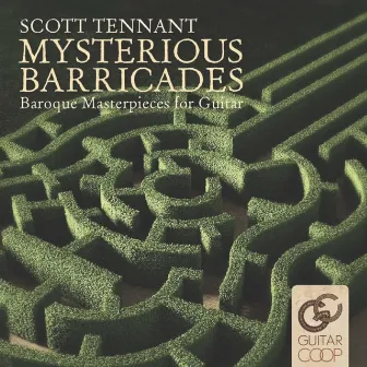 Mysterious Barricades by Scott Tennant