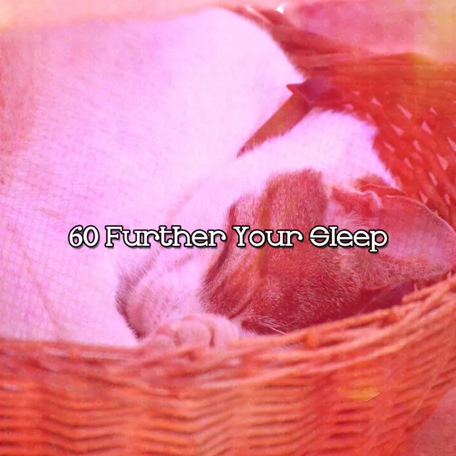 60 Further Your Sleep