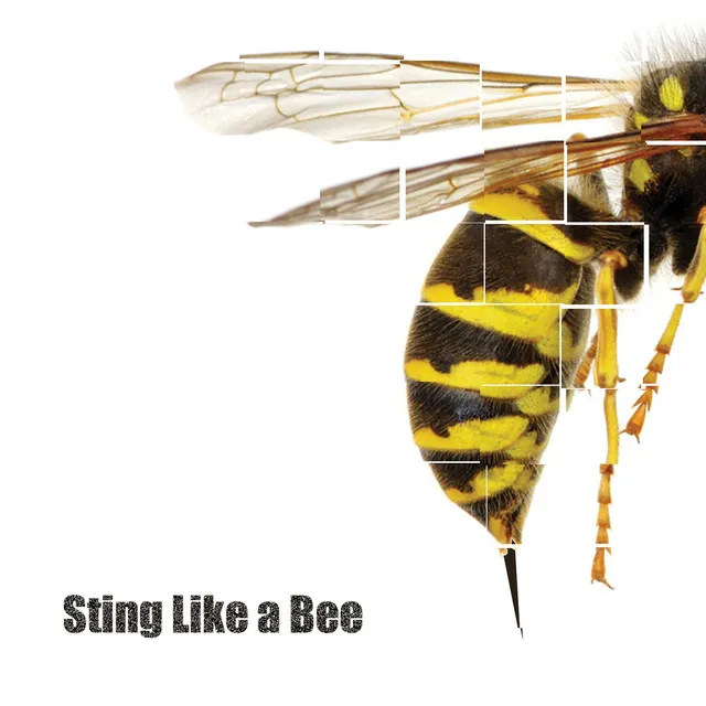 Sting Like a Bee