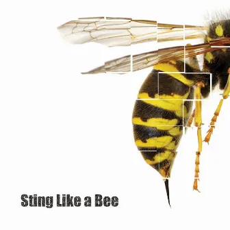 Sting Like a Bee by Bam Bam