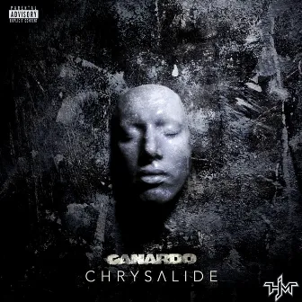 Chrysalide by Canardo