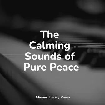 Peaceful Sounds | Chilling Out by Piano for Studying