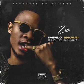 Impilo Enjani by Zwa