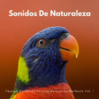 Sonidos De Naturaleza: Pájaros Cantando Para La Relajación Perfecta Vol. 1 by Los Pájaros Cantores