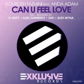 Can U Feel Love by Kourosh Tazmini & Anda Adam