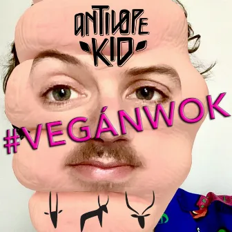 Vegán wok by Antilope Kid