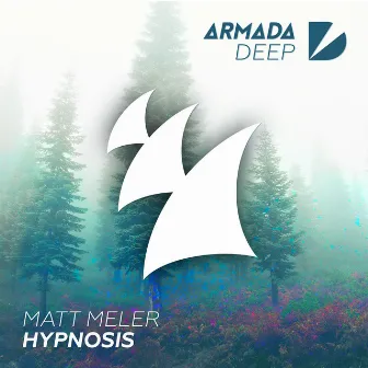 Hypnosis by Matt Meler